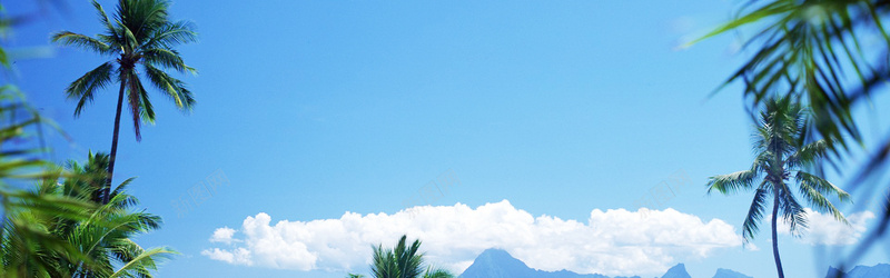 蓝天椰树背景背景