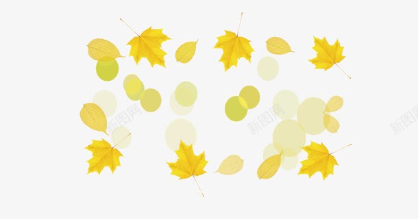 秋天的树叶png免抠素材_88icon https://88icon.com 免抠 大图 树叶 秋天 高清