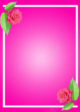 粉色玫瑰花边框背景背景