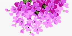 粉色手绘花朵欧式花纹素材