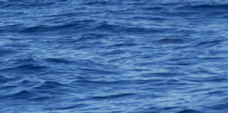 跃起的鲸鱼H5背景jpg设计背景_88icon https://88icon.com 商务 大气 海洋 科幻 科技 蓝天 鲸鱼