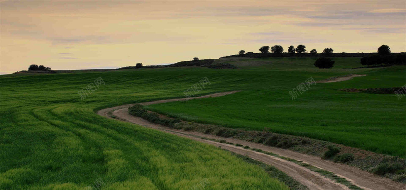 曲折蜿蜒的草地背景jpg设计背景_88icon https://88icon.com 摄影 风景 自然 草地 蜿蜒 海报banner