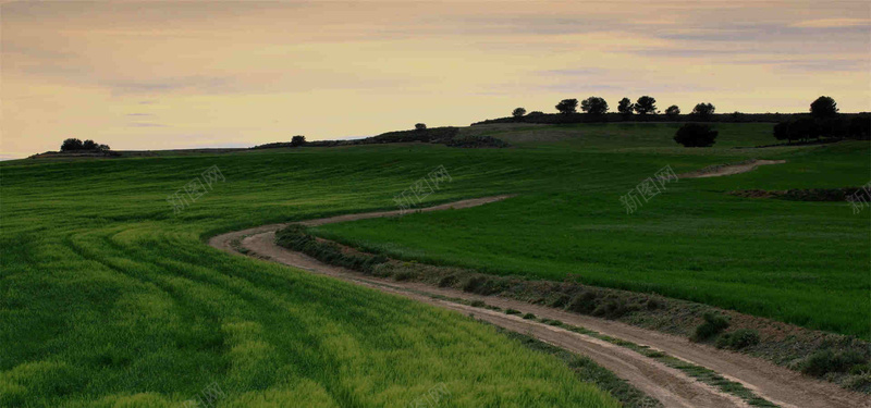 曲折蜿蜒的草地背景jpg设计背景_88icon https://88icon.com 摄影 风景 自然 草地 蜿蜒 海报banner