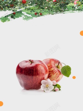 果园新鲜苹果海报背景模板背景