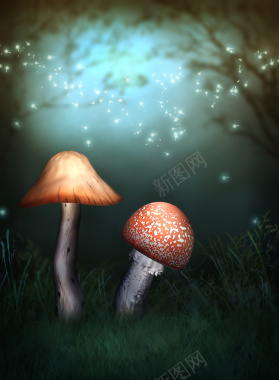 浪漫蘑菇背景背景