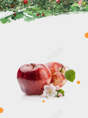小清新绿色营养苹果水果海报背景背景