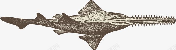 海洋动物手绘素描png免抠素材_88icon https://88icon.com 平面设计 手绘 海洋动物 素描 鱼