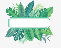 夏天美丽树叶素材