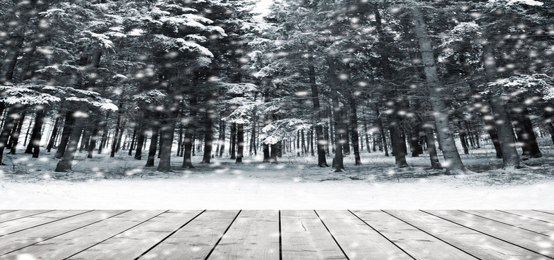 灰色的木板树林图片jpg设计背景_88icon https://88icon.com 木板 树林 灰色 纹理 雪花 开心 快乐 海报banner 质感
