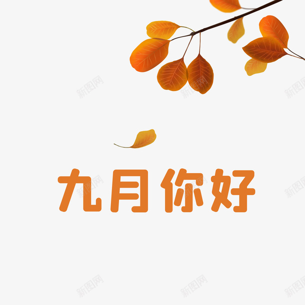 九月你好秋天叶子元素png免抠素材_88icon https://88icon.com 九月你好 叶子元素 树枝装饰 秋天 问候秋天