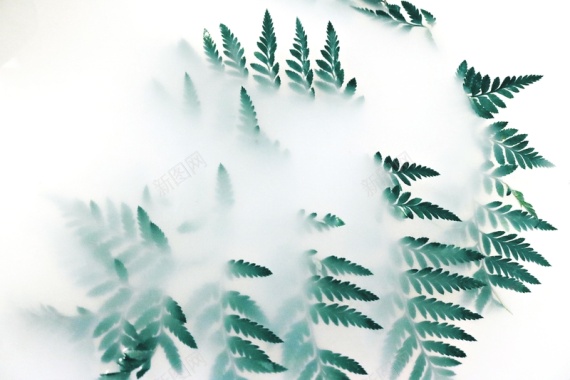 梦幻植物云雾背景