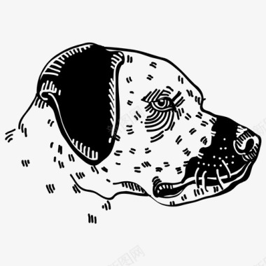 勃根红勃艮第布尔戈那布尔戈那图标图标
