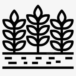 麦种大麦种植农场图标高清图片
