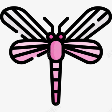 蜻蜓自然花5线状颜色图标图标