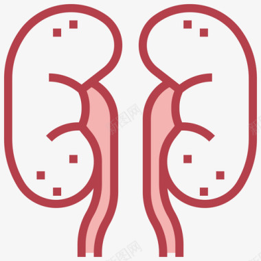 矢量人体肝脏肾脏人体解剖学2其他图标图标