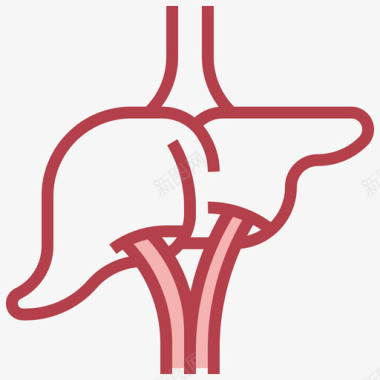 支撑人体肝脏人体解剖学2其他图标图标