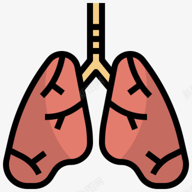 人体解剖肺人体解剖学5线性颜色图标图标