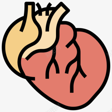 人体解剖心脏人体解剖学5线性颜色图标图标