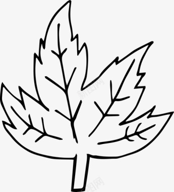 手绘叶秋叶手绘植物图标图标
