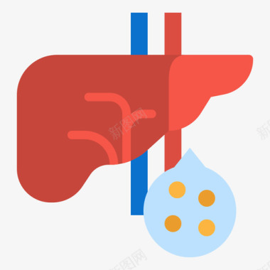 矢量肝脏肝脏胆固醇3平坦图标图标