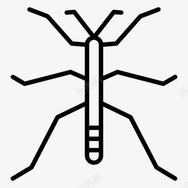 条纹手杖手杖虫子昆虫图标图标