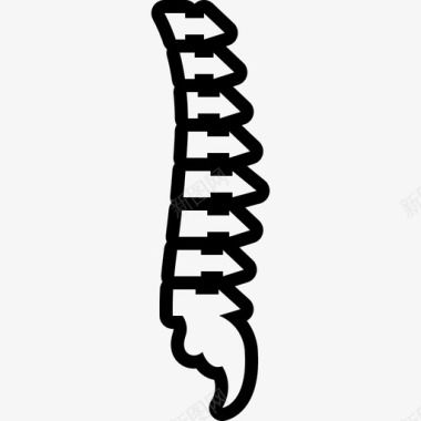脊椎解剖学脊柱图标图标