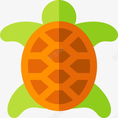 乌龟生日卡乌龟沙漠47平坦图标图标