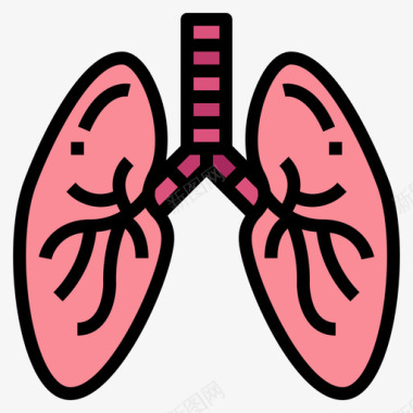人体头部肺人体器官6线色图标图标
