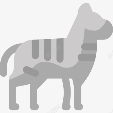 斑马野生动物5扁平图标图标