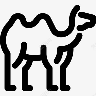骆驼野生动物4直系图标图标