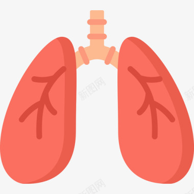人体脏腑肺人体6扁平图标