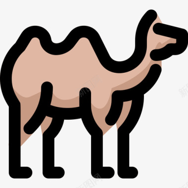 骆驼野生动物7线形颜色图标