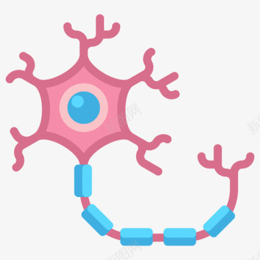 set13神经元解剖学13扁平图标