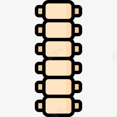 矢量人体骨架脊柱人体5线颜色图标
