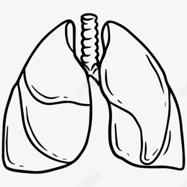 肾脏器官肺呼吸呼气图标