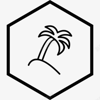 棕榈树叶子植物图标