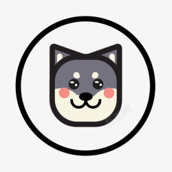 三色小雏菊三色小哈高清图片