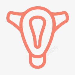 女性生殖器官子宫女性生殖器官妇科高清图片