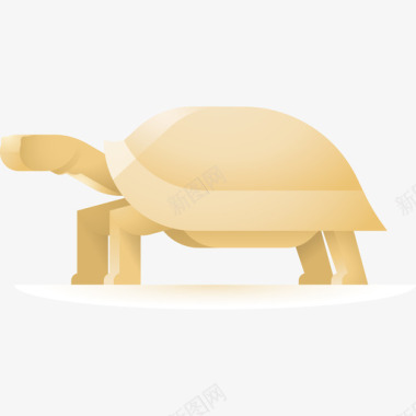 乌龟生日卡乌龟动物98彩色图标