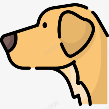 金毛猎犬犬种13种线形颜色图标