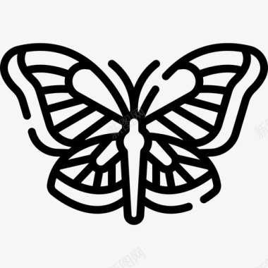 蝴蝶昆虫43线状图标