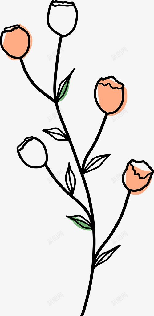 手绘植物插画图免扣绿植高清图片png免抠素材_88icon https://88icon.com 手绘 植物 插画 画图 免扣 绿植 高清 图片