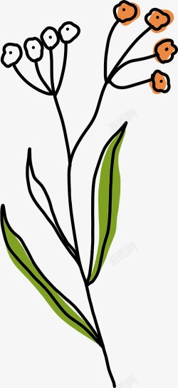 手绘植物插画图免扣绿植高清图片素材