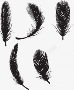 矢量黑色飘落的羽毛各种素材