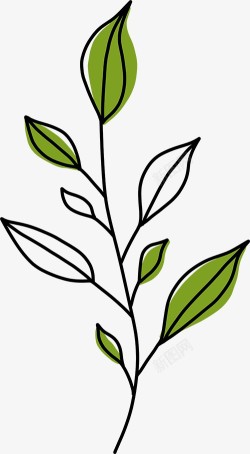手绘植物插画图免扣绿植高清图片素材