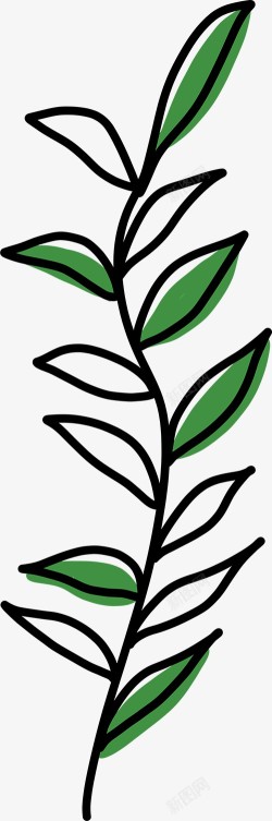 手绘植物插画图免扣绿植高清图片素材