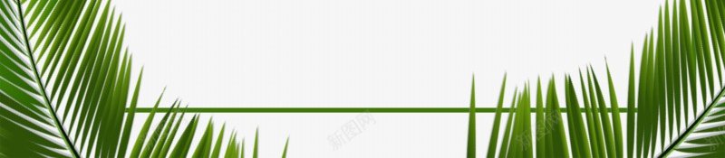 的旅程树叶装饰边框踏青透明绿叶边框6创意边框png免抠素材_88icon https://88icon.com 写实 创意 图案 树叶 植物 绿叶 装饰 边框 透明 风格