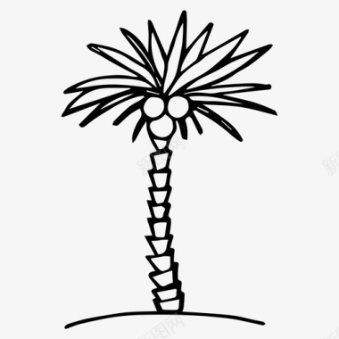 椰子树素描图标