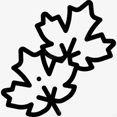 枫叶枫叶加拿大16线形图标
