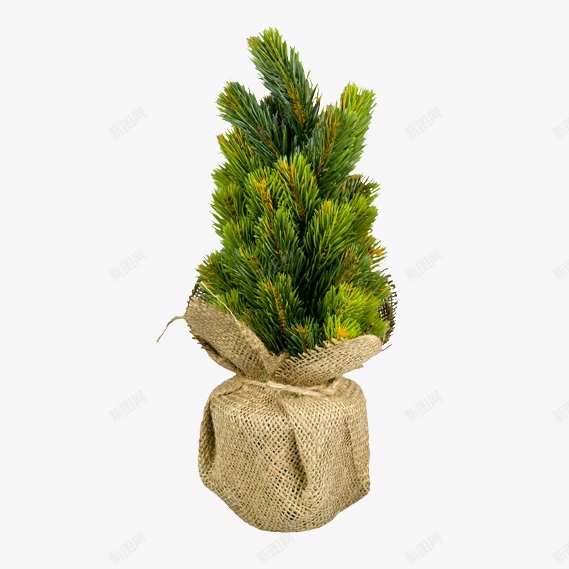 北欧居家装饰透明北欧风png免抠素材_88icon https://88icon.com 北欧 居家装饰 透明 欧风